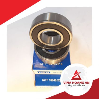 Vòng bi cho dụng cụ cầm tay HCH-6004-2RS