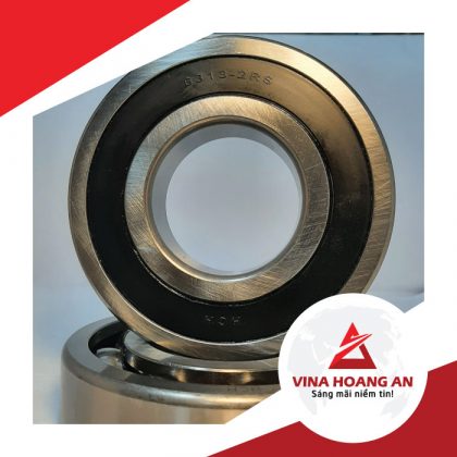 vòng bi cho motor lớn HCH-6313-2RS