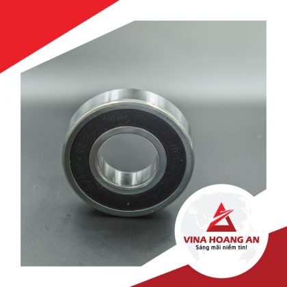 vòng bi cho motor lớn